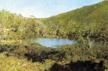 Озеро Добсон в верхней части национального парка Маунт-Филд