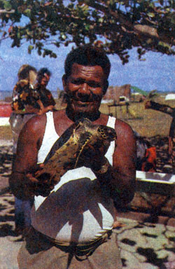 Фермер-островитянин гордится выращенной черепахой
