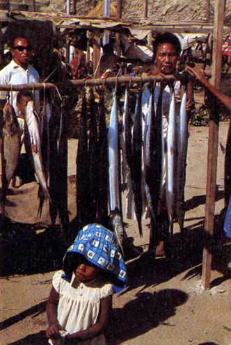В рыбном ряду можно взять свежую рыбу домой или на месте полакомиться жареной