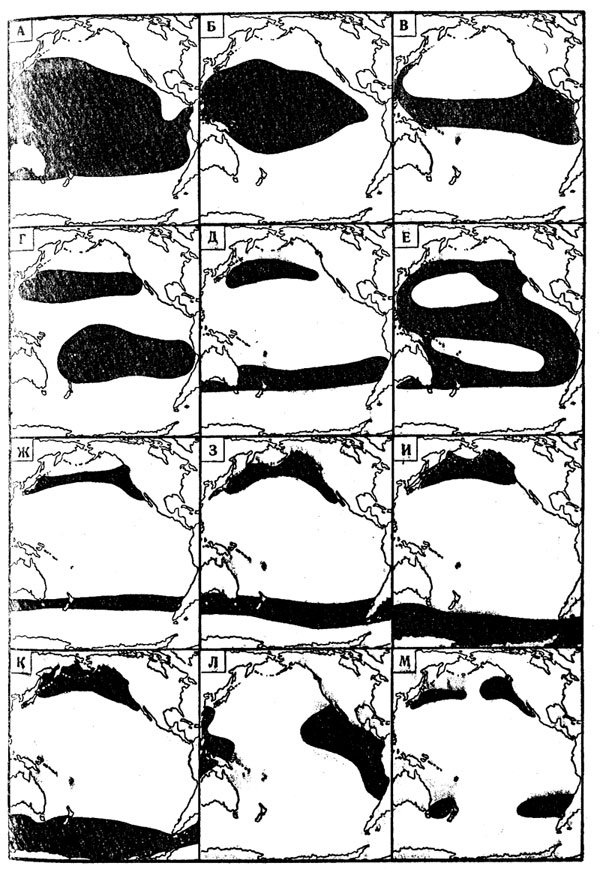 Рис. 29. Типы океанических (А - К) а дальненеритических (Л, М) ареалов макропланктонпых мезопелагических рыб (на примере тихоокеанских никтофид)
